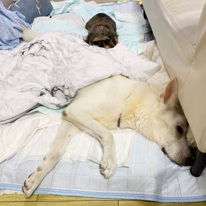 3e7de0f1 1519 419d 806b c7457a70fac5 1604935760894