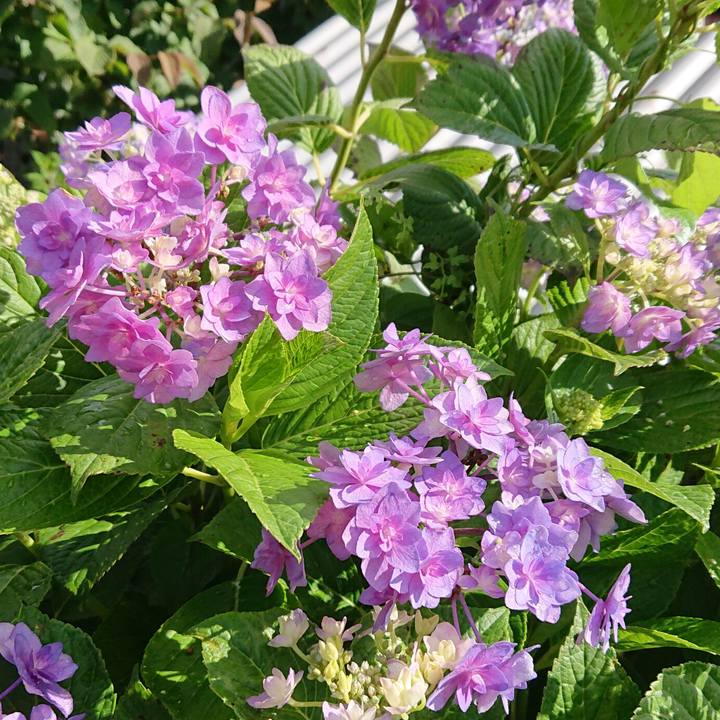 3e7e23f0 692a 4dcf 88cf d2208af8fdbf 1654473280922