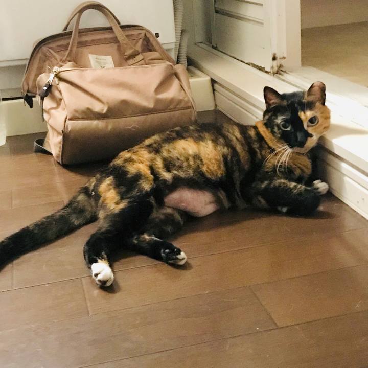 3e7e3768 5c72 4e18 af14 5a72487f4d81 1564158325184