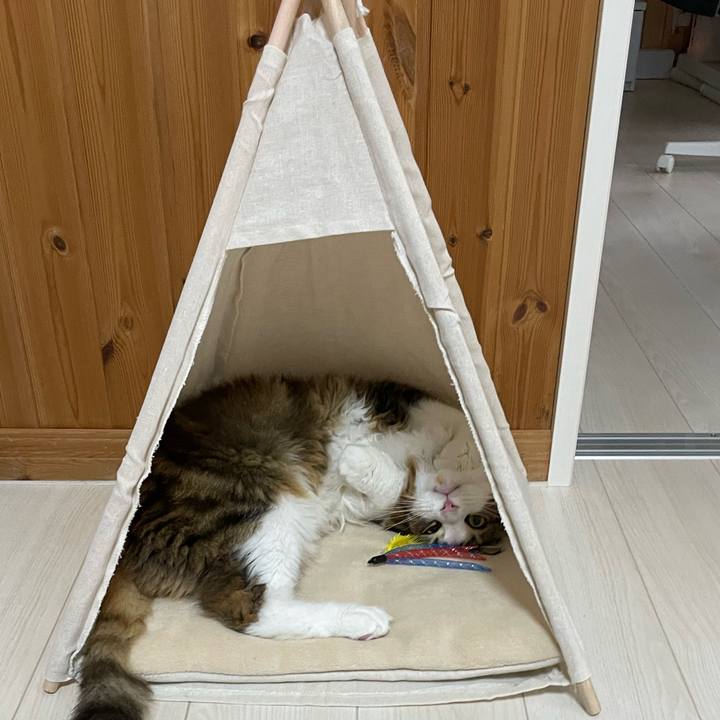 3e7e678e 2b8a 48c5 ac2d 86fabb423619 1667253191558