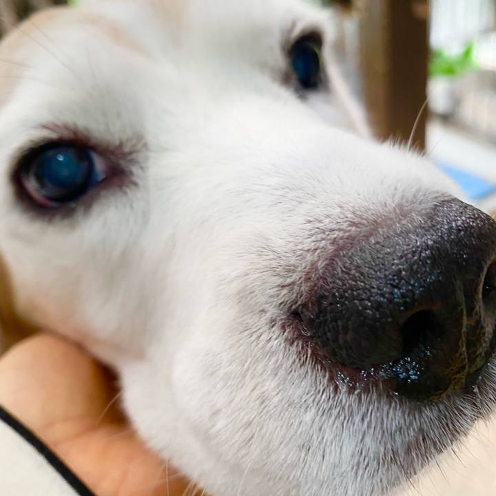 3e7e92fd 6c1e 4ffe beb3 1894d77ac381 1654400312195