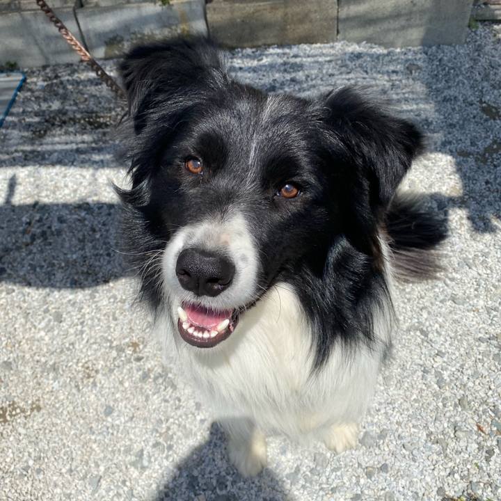 3e7ecbf6 9b45 4c2d 996f b9c6fd144b3f 1650272358224