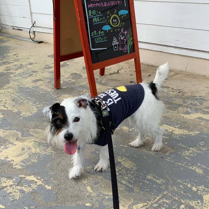 3e7ecdf5 9b77 4ecf a7d1 5c7094a3d504 1631326914515