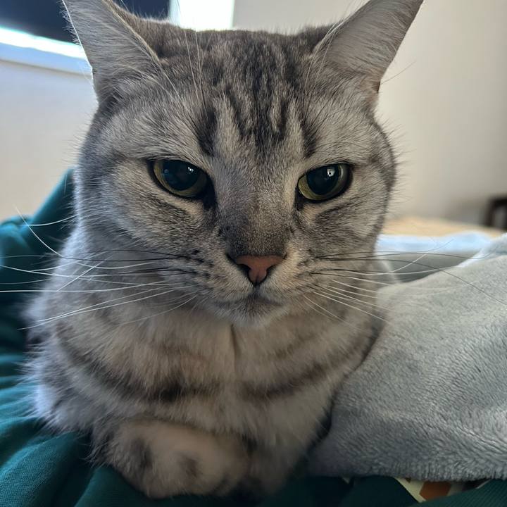 3e7ed15b 64c9 4acb 85a4 7a06bae50924 1707607995636