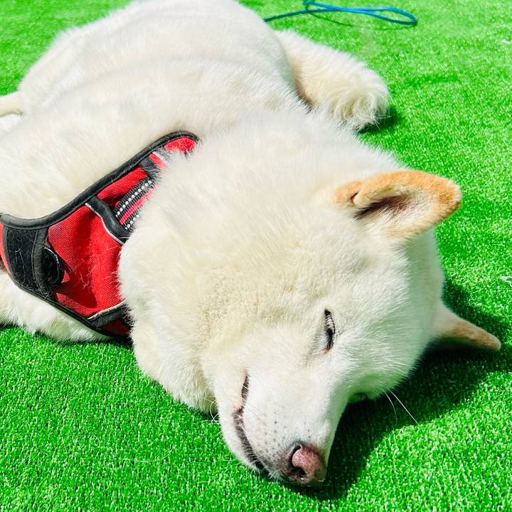 3e7efef2 e4d0 475b 9dc4 5ae14e4750e7 1714188338747