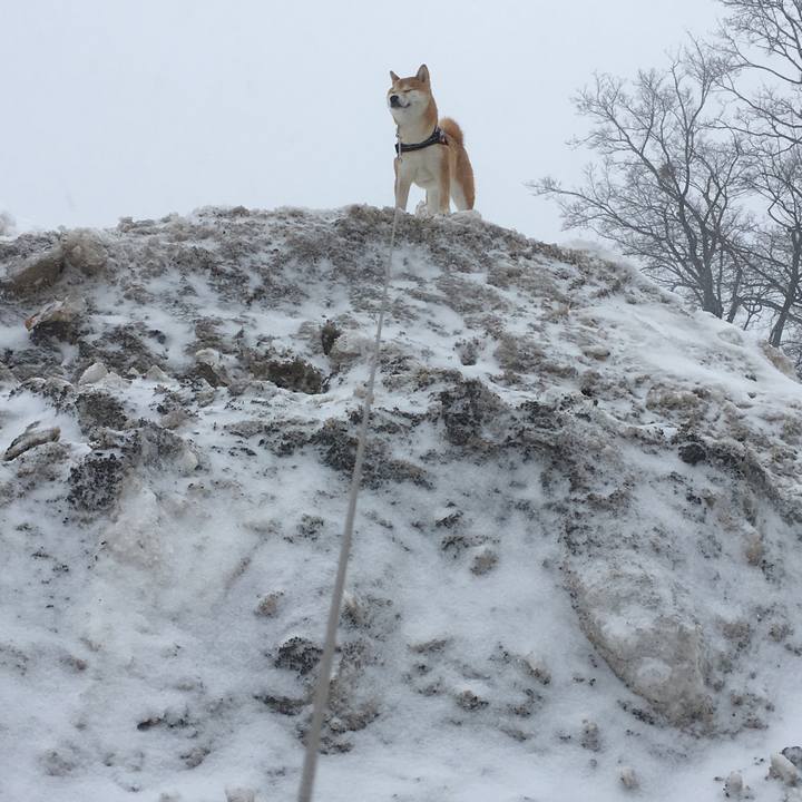 3e7f37fd a2e6 466e ada0 39475006d821 1519868597012