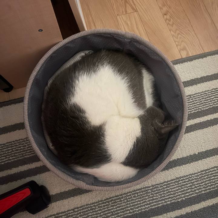 3e7f4137 1cbb 4c16 a627 ac5447351d35 1737814961048