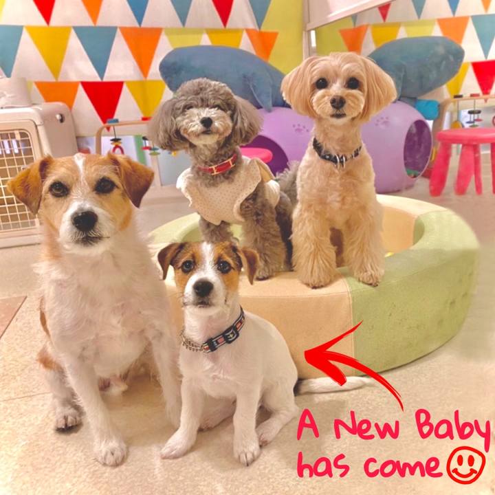 3e7f59c8 a85b 4817 8304 42932243385e 1652095623694