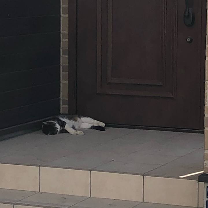 3e7f9d03 7e37 405d ac74 c3e9338d7547 1564850472529