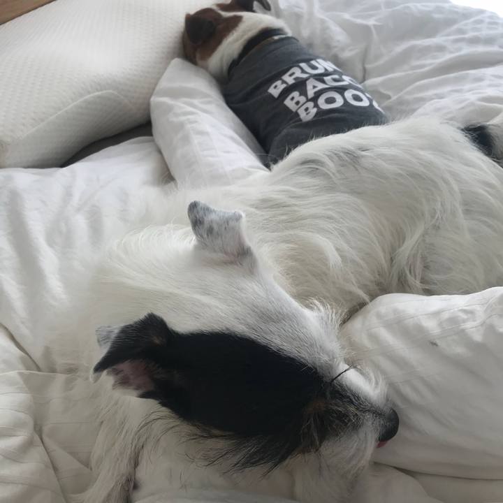 3e7fadd7 cdae 473f a157 b20aca007599 1534223751068