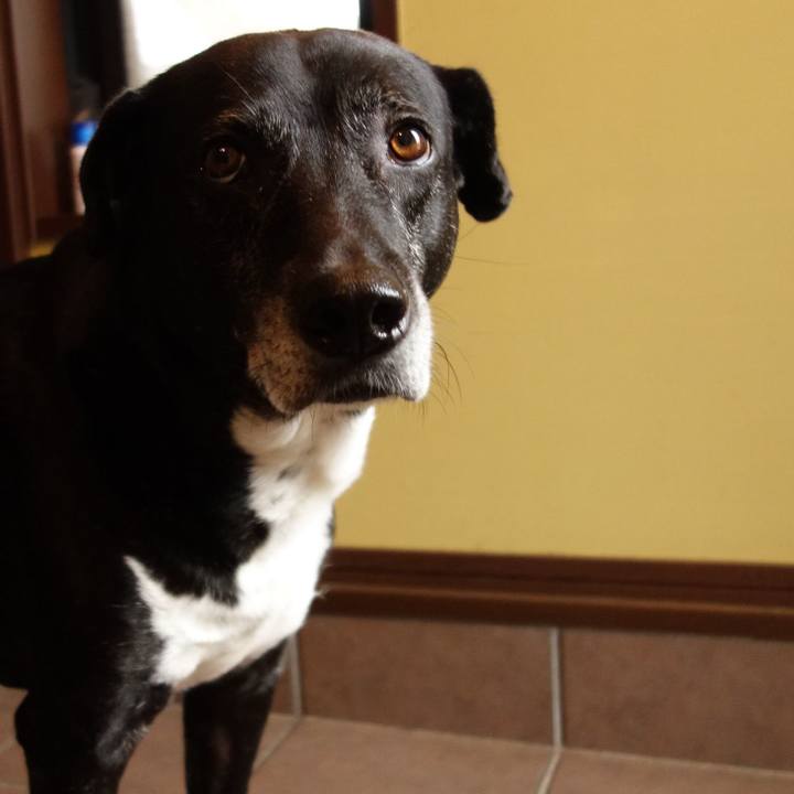 3e7fc969 12fa 486a b8a1 41c420e56c3d 1748219518718