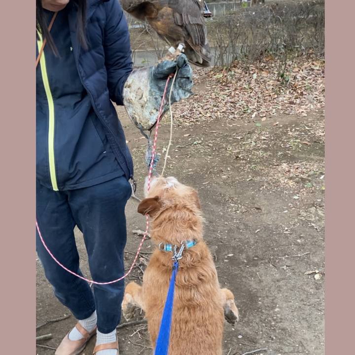 3e7ff0d5 e057 4eb5 b855 be6232f8ce38 1706608800675