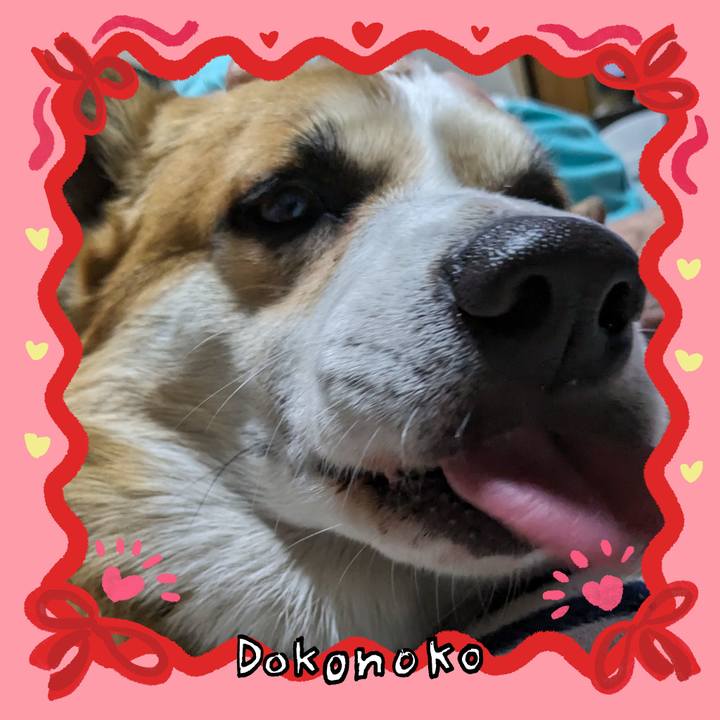 3e802a31 abb2 4613 9fab 68042d3cc9d5 1706760018661