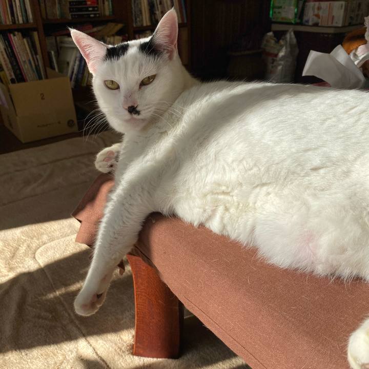 3e802e31 e230 40d5 a12c aec0eb8888d6 1575341016859