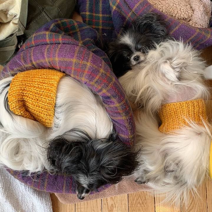 3e804bdf 4ac2 478d a8f7 81155219262c 1605338385617