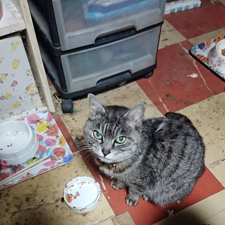 3e805bf6 f4c9 42f6 adfc deda8bc62cba 1582833520624