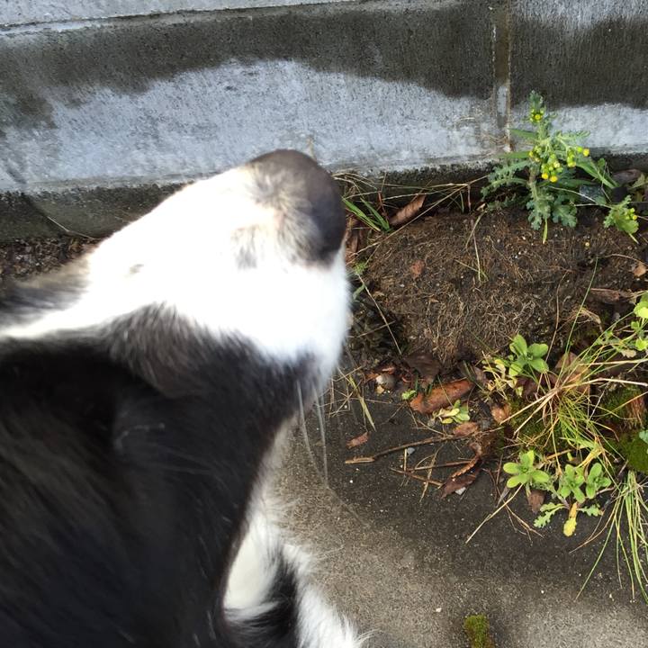 3e805e54 c98d 44fc bcaf 7dcda5a295da 1552434073220