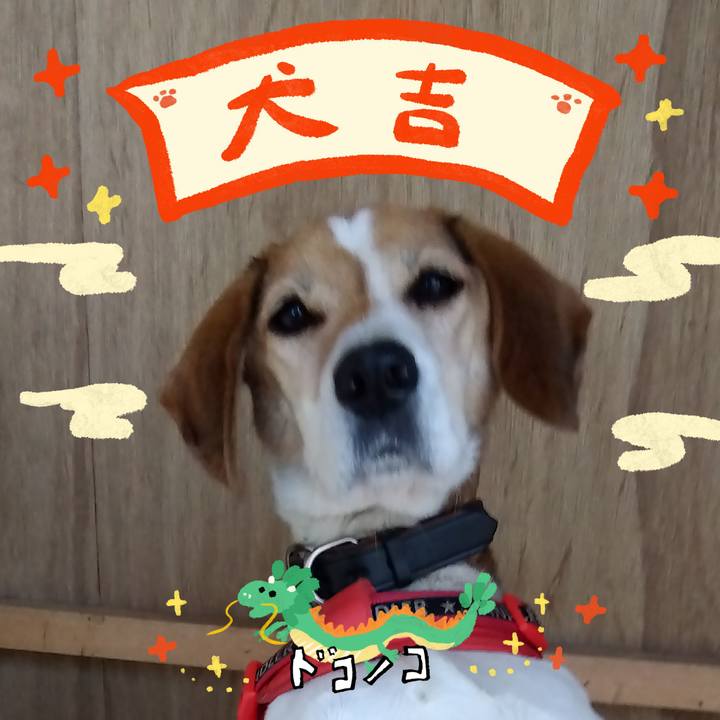 3e80735d 3bb1 4b9a 9eda eb8bad83d4d0 1704200382843