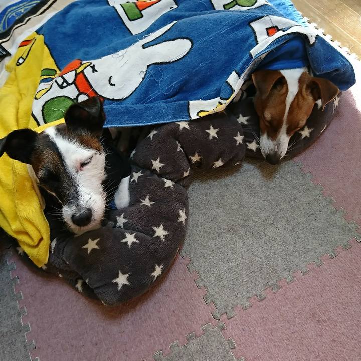 3e808332 c687 4d8e a878 ff1ecf2c1a45 1546131428762