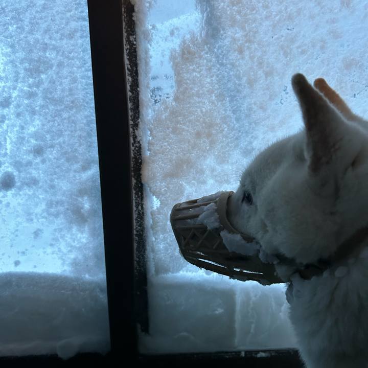 3e80a960 d404 49af bd11 68487641a3ed 1769293459975