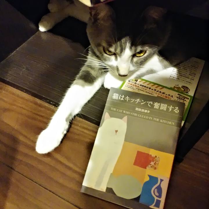 3e80c31c 6f25 4a2e 83e3 0652b6bd7906 1595415556097