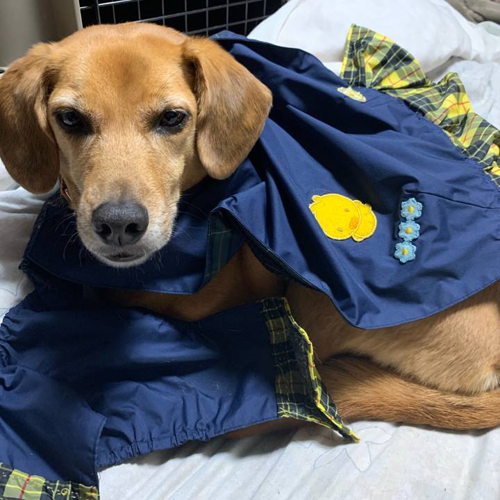 3e80e67b 26a0 4f1c 80c9 8e5944dbb77b 1574437638551