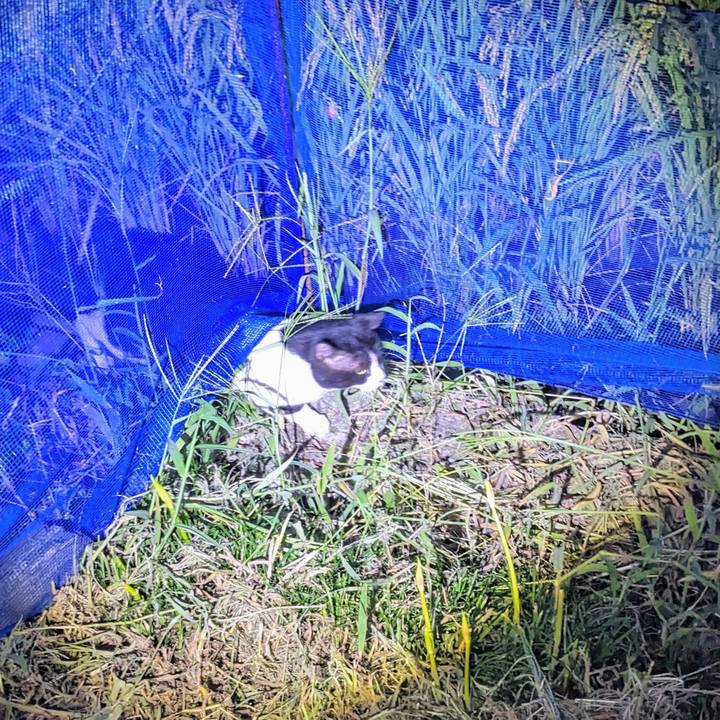 3e810daa 6caa 4dce bf15 16d913cc42b1 1758022446280