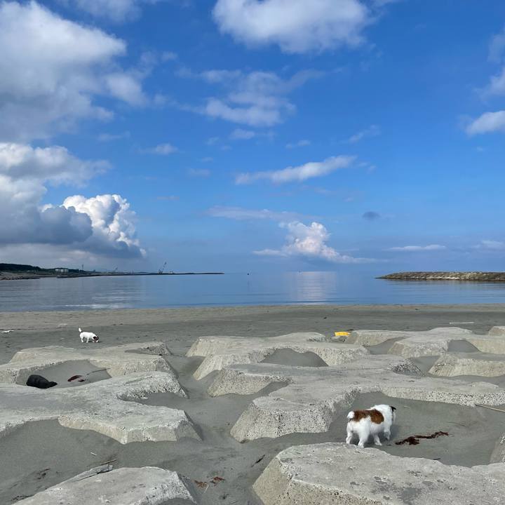 3e8113ce 7855 47ce b42c 6ec7549c3d41 1717460849542