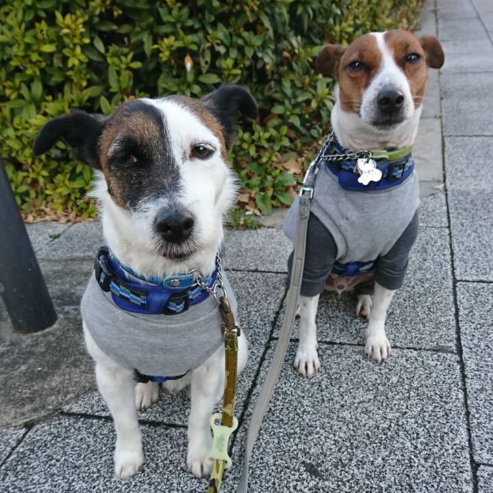 3e813f7a b95a 453d 9351 99a5d8e879a6 1612394966926