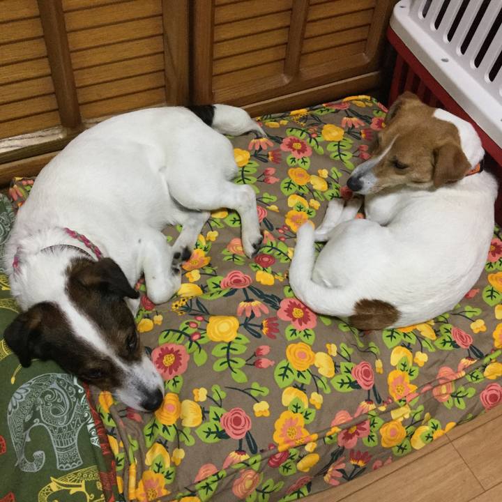 3e8178ee 2cf3 46d9 b350 86ec6504c287 1526730458692