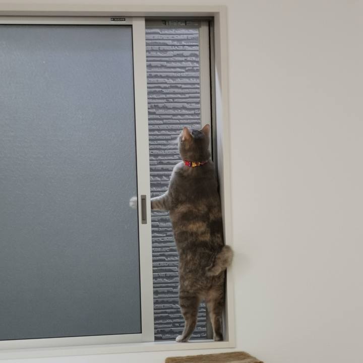 3e81792d 4fe4 43b3 a555 259efda981bd 1654660877368