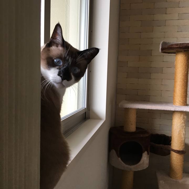 3e8185cd 5683 4f37 809b 4ada90c32d08 1556239419797