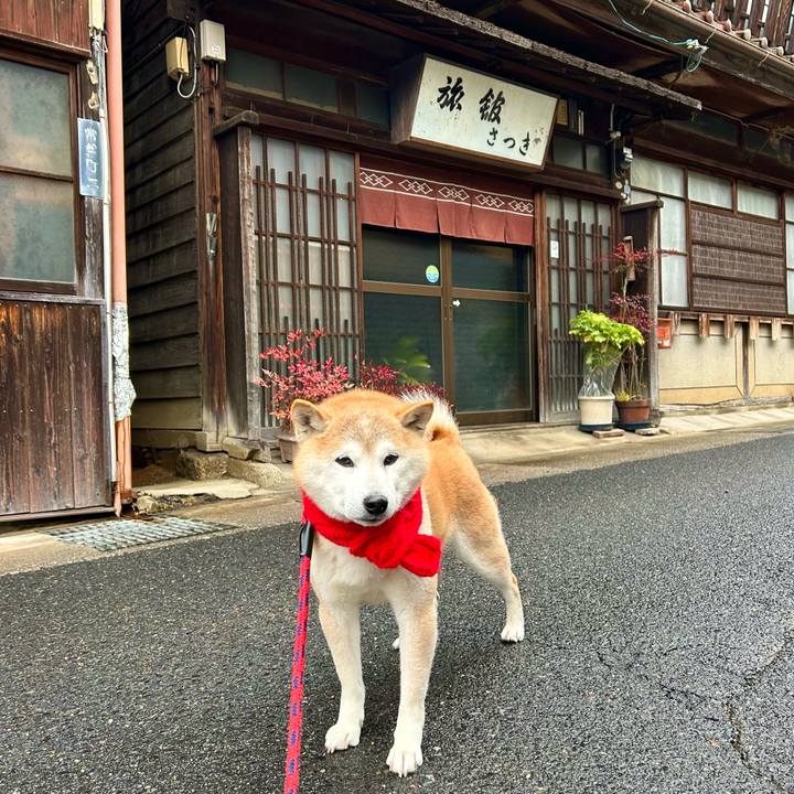 3e81d5a4 2919 4322 bba1 692eae2a6224 1741173469318