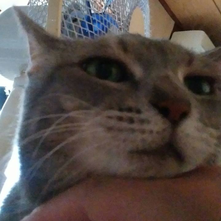 3e81f4e4 96d4 4bda 83da b2fd7071174f 1569106918813