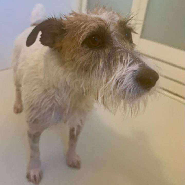 3e82021c d47e 49bc 832f 533cf2e5faed 1673178709639