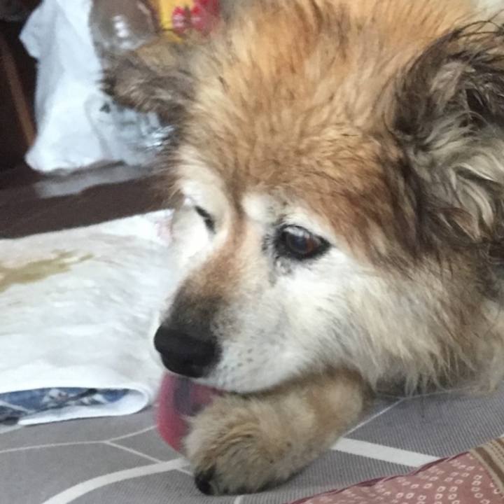 3e82044a fd8a 4c6a a69f 01ee660771d9 1622007349726