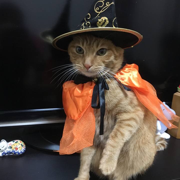 3e823484 2500 4422 a851 062e715959de 1540907691681