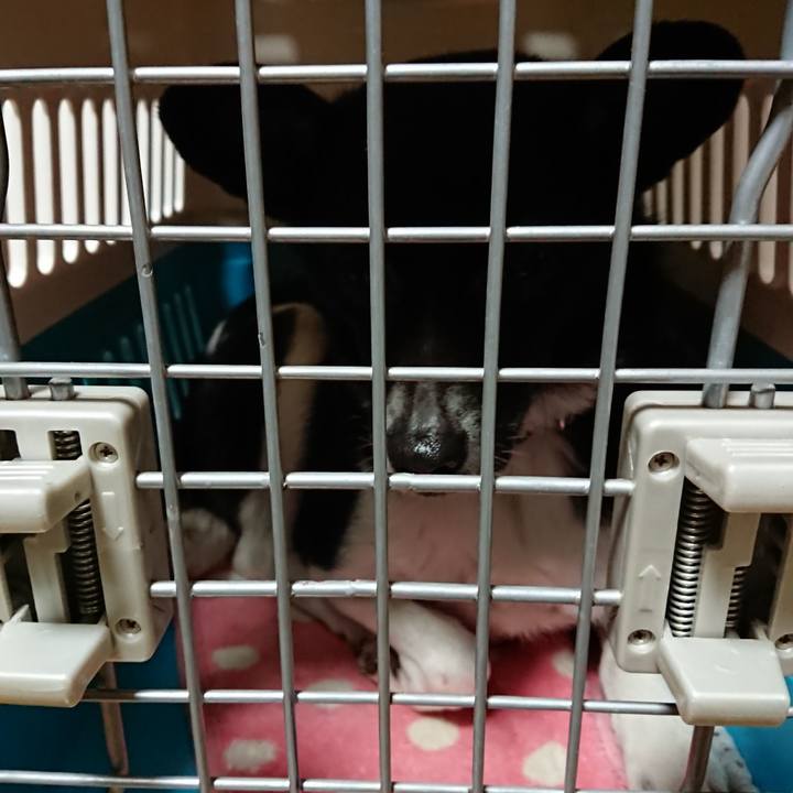 3e82442b 8900 43e5 b89e a4d4d4912d7e 1558013402681