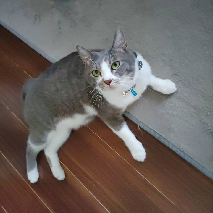 3e8289dc 2b31 41e9 a467 fec346009a8f 1690966953633