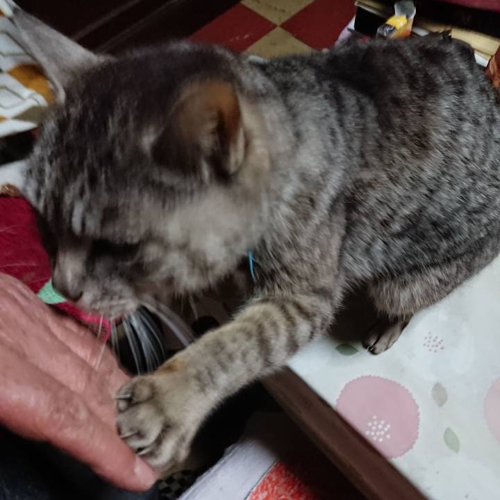 3e82ab18 685e 44e6 b08e 0c7afcc47ab1 1552900399836