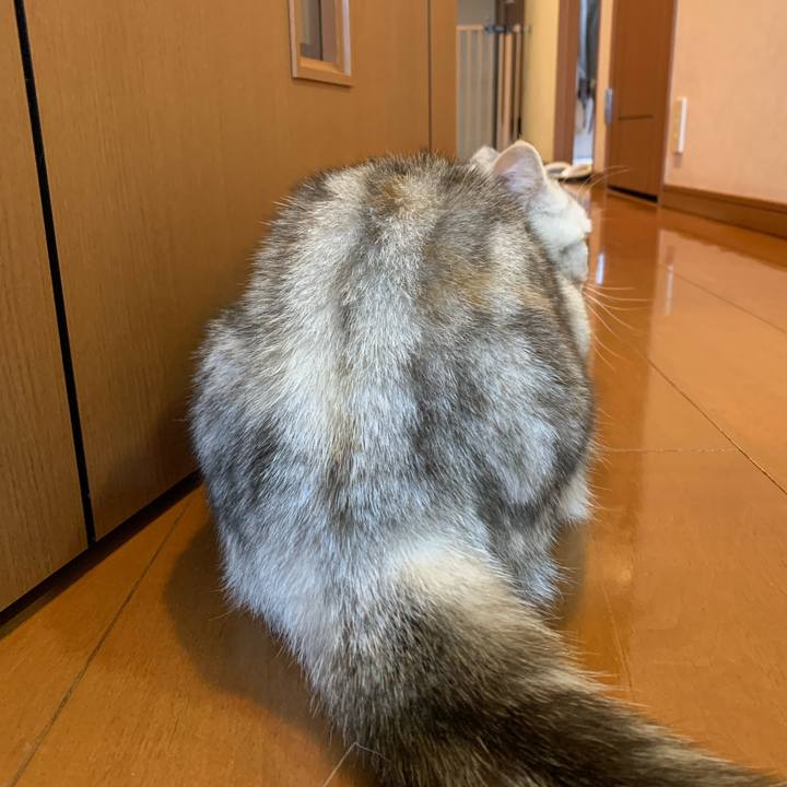 3e82b0e7 217f 48ef a2b7 904dd8a62675 1708642150757