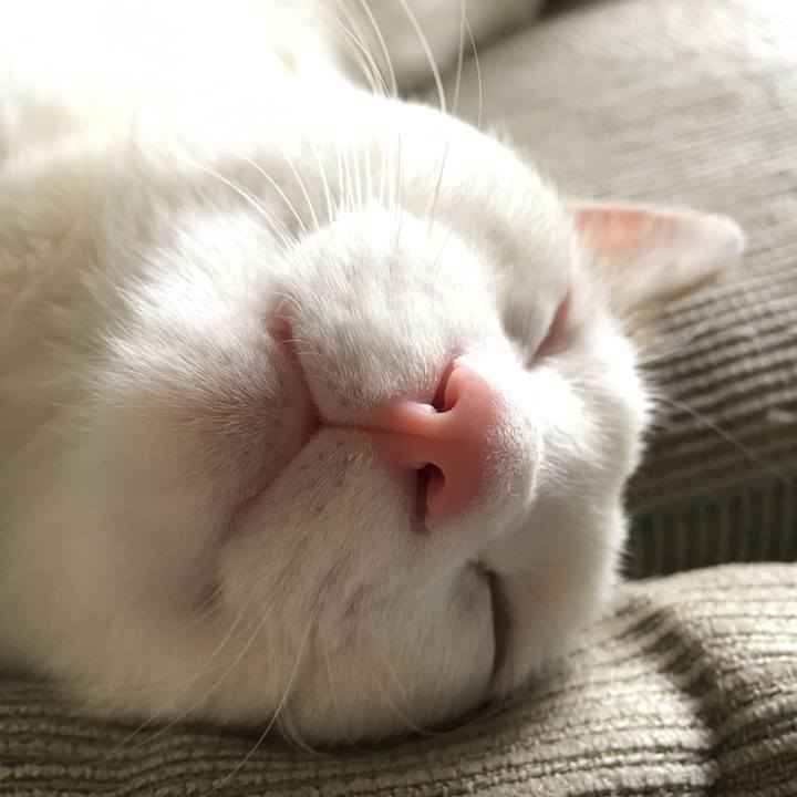 3e82e59f cd6e 47c4 9b4e dba612b77b12 1524725715134