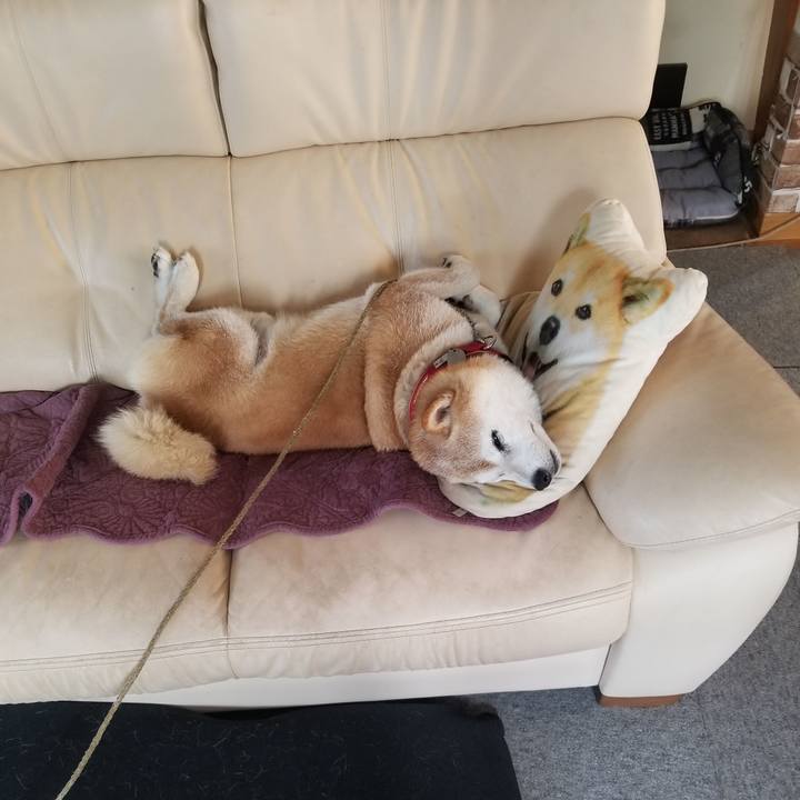 3e833bca 6c85 4027 880c 23fa1a37d246 1722118435594