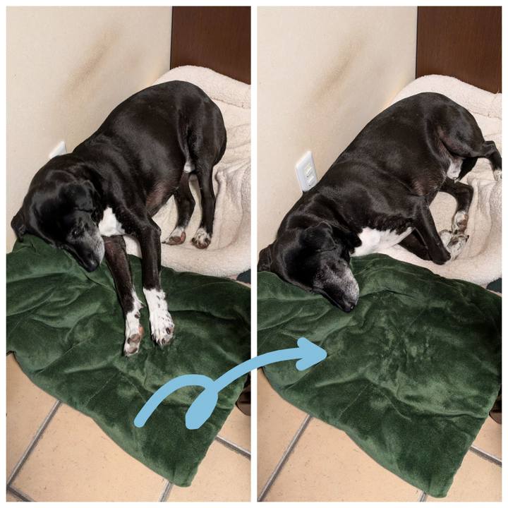 3e83d6eb f4bf 4799 9bf6 424312449574 1762388750769