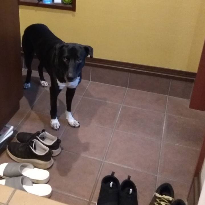 3e83f799 3027 4df0 822e 0faf3a9615b5 1627342527771