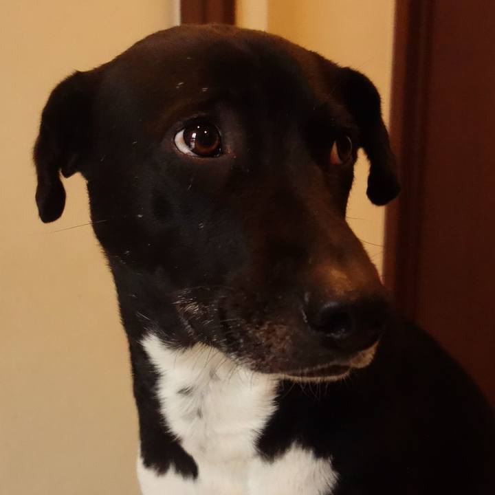 3e83f82b 7aab 4094 8111 bed22143603d 1612744474896