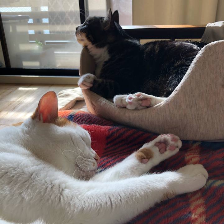 3e842449 8d14 4cd5 9e2e 423cbca0032c 1584230678266