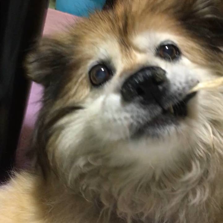 3e845ac6 5dbd 4afb bd10 17f53ce8e2aa 1601221976564