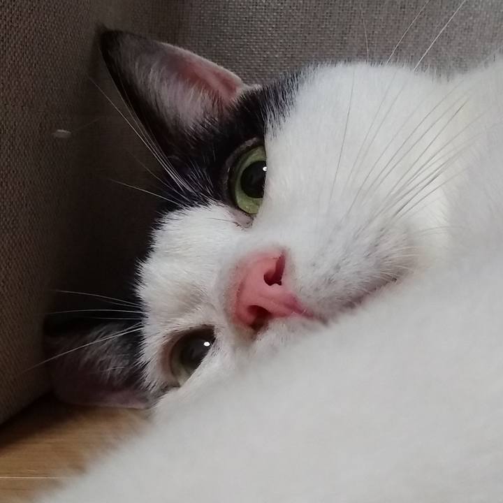 3e847f68 6b74 417e ba2e 871f763e04e3 1568197986708