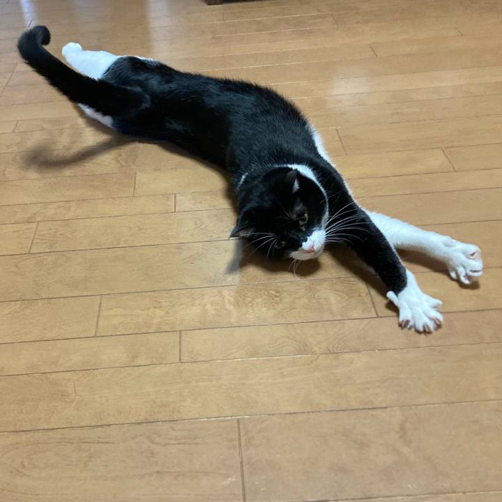 3e849936 0074 4735 a48e fef16937d3cd 1641723635142